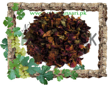 Rose Flower (Gul-e-Surkh, Gulab Ka Phool) Scientific Name Rosa گل سرخ گلاب کا پھول