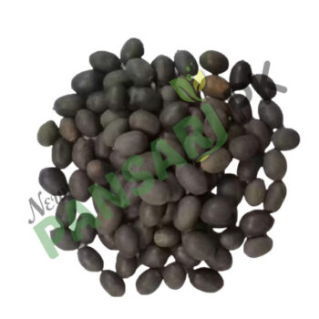 Sacred Lotus (Kanwal Gutta) also known as Indian Lotus, Bean of India, Lotus Scientific Name Nelumbo Nucifera کنول گٹہ