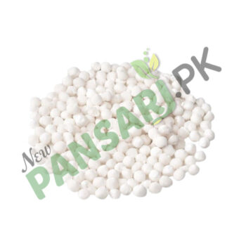 Sago (Sago Dana) Scientific Name Cycas Revoluta ساگودانہ