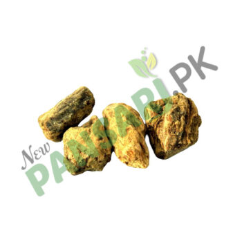 Sal Tree (Ral Safaid) also known as Sakhua, Shala Tree Scientific Name Shorea Robusta رال سفید