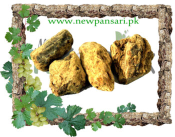 Sal Tree (Ral Safaid) also known as Sakhua, Shala Tree Scientific Name Shorea Robusta رال سفید