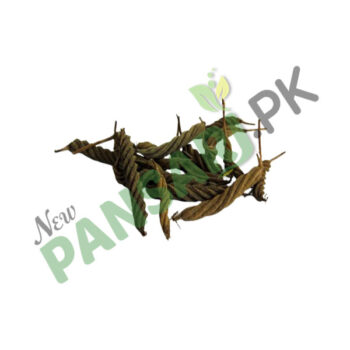 Screw Tree (Marrorr Phali) also known as Indian Screw Tree, East Indian Screw Tree, Deer’s Horn, Nut Leaved Screw Tree Scientific Name Helicteres Isora مڑوڑ پھلی