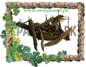 Screw Tree (Marrorr Phali) also known as Indian Screw Tree, East Indian Screw Tree, Deer’s Horn, Nut Leaved Screw Tree Scientific Name Helicteres Isora مڑوڑ پھلی