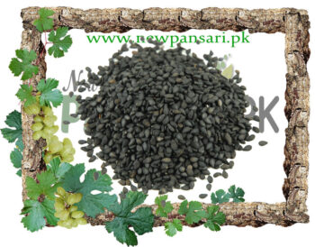 Sesame Seeds Black (Til Siyah) Scientific Name Sesamum Indicum تل سیاہ