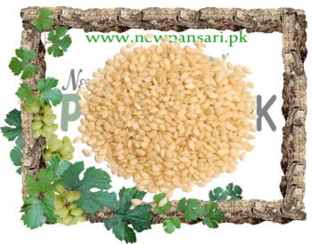 Sesame (Til) also known as Benne Scientific Name Sesamum Indicum تل