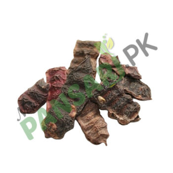 Soap Pod Wattle (Seekakai) Scientific Name Acacia Concinna سکا کایی