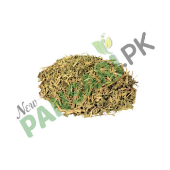 Spearmint (Podina Kohi, Pahari Podina) Scientific Name: Mentha Sylvestris پودینہ کوہی پہاڑی پودینہ