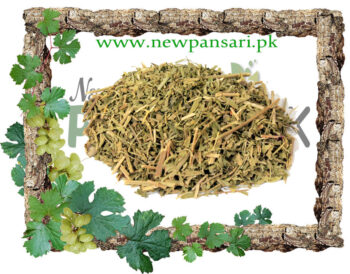 Spearmint (Podina Kohi, Pahari Podina) Scientific Name: Mentha Sylvestris پودینہ کوہی پہاڑی پودینہ