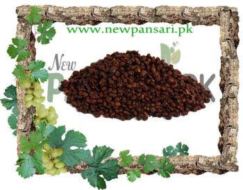 Sumac (Sumaq) also known as Sicilian Sumac, Tanner's Sumach, Elm-Leaved Sumach Scientific Name Rhus Coriaria سماق