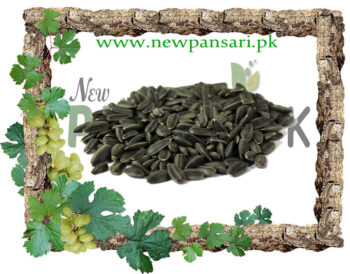 Sunflower Seeds (Tukhm-e-Suraj Mukhi) Scientific Name Helianthus Annuus تخم سورج مکھی