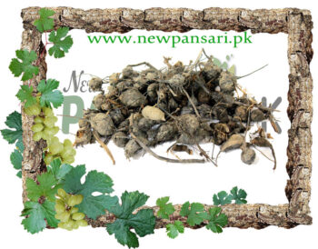 Sweet Cyperus (Nagar Moth) Scientific Name Cyperus Rotundus Linn ناگر موتھ سعد کوفی، مشک زیر زمین، موتھ، ڈیلہ گھاس، موتھا