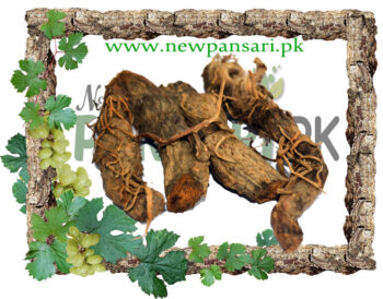 Sweet Flag (Gurbach) also known as Sweet Sedge, Sweet Myrtle, Flag Root, Calamus Scientific Name Acorus Calamus گڑبچ وج ترکی