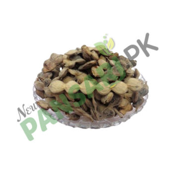 Sweet Thorn (Phalli Babool) also known as Karroo Thorn Scientific Name Acacia Karoo پھلی ببول کیکر پھلی