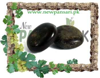 Tamarind Seeds (Tukhm-e-Tamar Hindi Khord) also known as Indian Date Scientific Name Tamarindus Indica Linn تخم تمرہندی خورد تخم املی