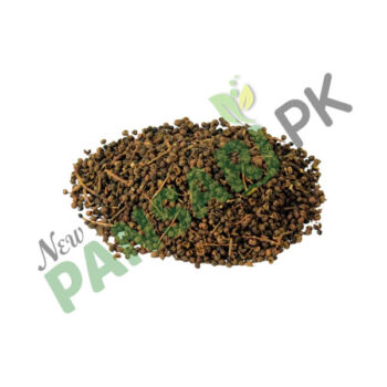 Toothache Fruit (Kabab Khandan) also known as Winged Prickly Ash, Hercules Club Scientific Name Zanthoxylum Alatum کباب خنداں کبابہ شگفتہ، فاغرہ, کبابہ دہین کشادہ