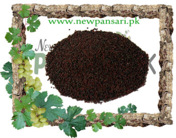 Turnip Seeds (Tukhm-e-Shaljam) also known as White Turnip Seeds Scientific Name Brassica Rapa تخم شلجم