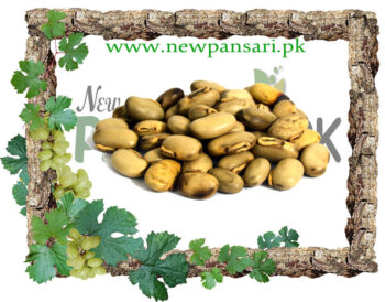 Velvet Bean (Konj Safaid) Scientific Name Mucuna pruriens کونج سفید