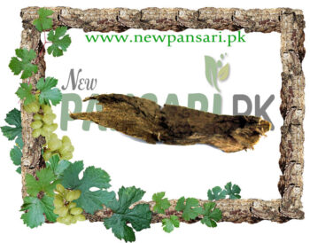 Walnut Tree Bark (Dandasa) Scientific Name Juglans Regia دنداصہ