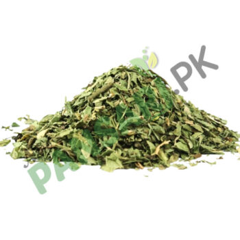 Wild Mint (Podina Khushk) also known as Corn Mint, Dry Mint Scientific Name Mentha Arvensis پودینہ خشک جنگلی پودینہ