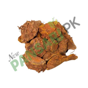Wild Turmeric (Amba Haldi) - New Pansari