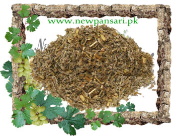 Wormwood (Afsateen Roomi, Afsateen Rumi) also known as Mugwort Scientific Name Artemisia Absinthium افسنتین رومی