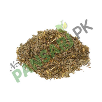 Wormwood (Afsateen Roomi, Afsateen Rumi) also known as Mugwort Scientific Name Artemisia Absinthium افسنتین رومی