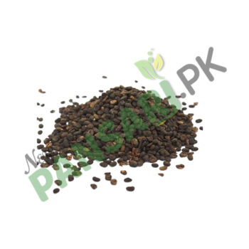 Yarrow Seeds (Tukhm-e-Gandana) also known as Nosebleed Plant Scientific Name Achillea Millefolium Linn. تخم گند نا