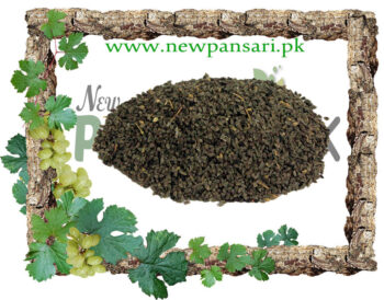 Yarrow Seeds (Tukhm-e-Gandana) also known as Nosebleed Plant Scientific Name Achillea Millefolium Linn. تخم گند نا