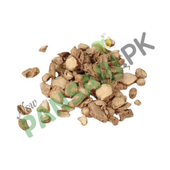 Zedoary (Kapor Kejri) also known as White Turmeric Scientific Name Curcuma Zedoaria کپور کیجری