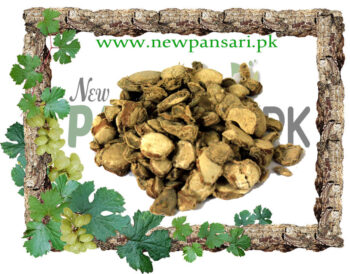 Zedoary (Kapor Kejri) also known as White Turmeric Scientific Name Curcuma Zedoaria کپور کیجری