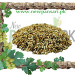 Apamarga Seed Whole,Latjira Seed,Chirchita,Apamarg Seed,Achyranthes Aspera Seed Prickly Chaff Flower Seed puthkanda پھٹکنڈا