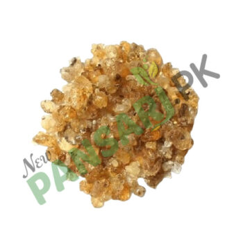 Char Gond Gondan (Cheerh) چارگوند گونداں