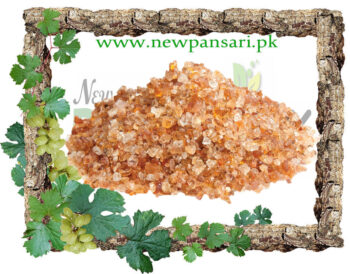 Char Gond Gondan (Cheerh) چارگوند گونداں