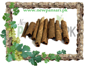 Chinese Cinnamon Herb– Taj Qalmi Herb – تج قلمی