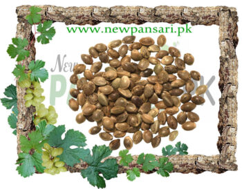 Heemp_Seeds - Bhang Seeds tukhum qinab بھنگ کے بیج