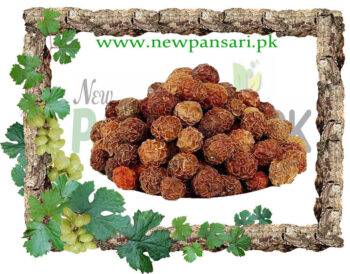 Kaknaj Herbs Piutan کاکنج – پیوٹن Bati phal