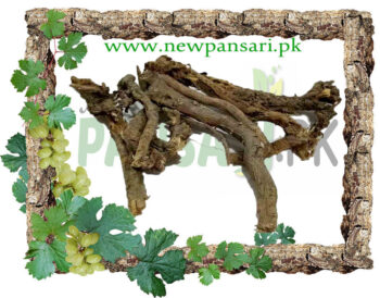 Natural Kasni Root Cichorium intybus Jar kasni کاسنی کی جڑ