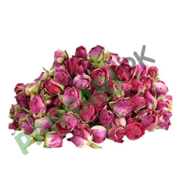 Rose Flower Irani ( Gul-e-Surkh Irani, Gulab Ka Phool irani) ایرانی گلاب کے پھول