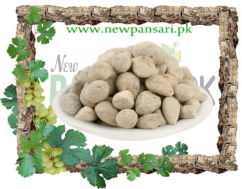 Sang Yahood Lapis judaicus Jew Stone Or Hijrul Yahood سنگ یہود