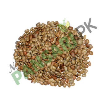 Seed Brown Kulthi Beej Kulthi Dal, Horse Gram, kalthi Whole Seed دال کلتھی