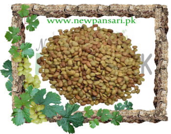 Seed Brown Kulthi Beej Kulthi Dal, Horse Gram, kalthi Whole Seed دال کلتھی