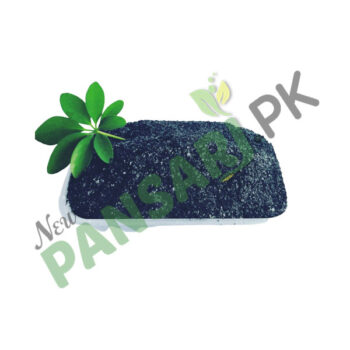 patri faulad Patri folad پتری فولاد