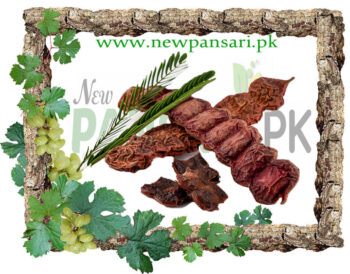 shikakai sabut سکاکائی