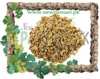 soya herb Dill Seeds - Tukhm -e- Soya Tukhme Shibbat, Dill Weedسوے