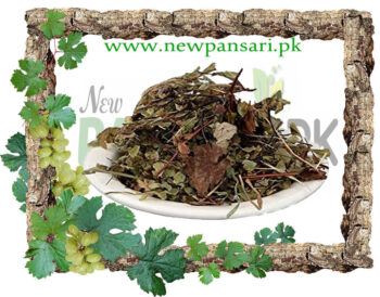 پرسیاؤشاں – ہنسراج Persiyoshan – Hansraj Pershosha