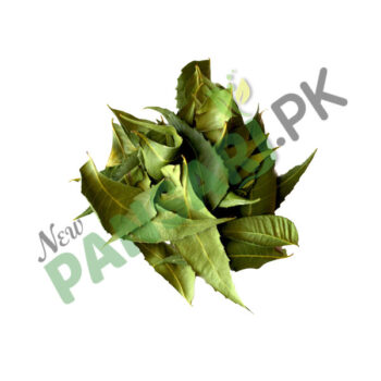 Kirananjo leaves Kirananjo Burg برگ کرنجوہ