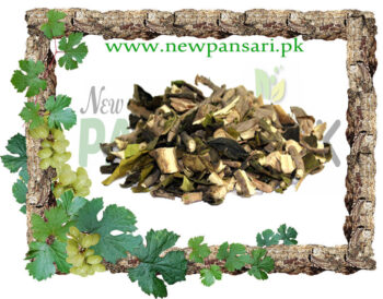 Malabar Nut Tree Bansa Herb, Vasaka , Barg-e-Aroosa برگ اڑوسہ برگ بانسہ