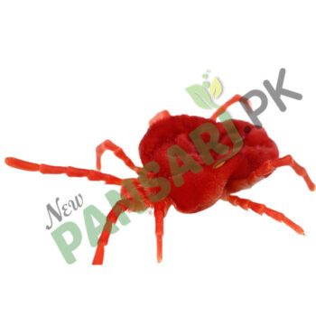 Pure Red Velvet Mite (Beer Bahoti) بیر بہوٹی