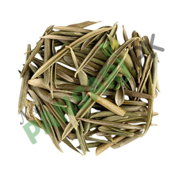 Olive Leaf, Olive Leaf in cheap rate, Olive Leaf in pakistan, Olive Leaf online, Olive Leaf Powder, Olive Leaf Powder in cheap rate, Olive Leaf Powder in pakistan,