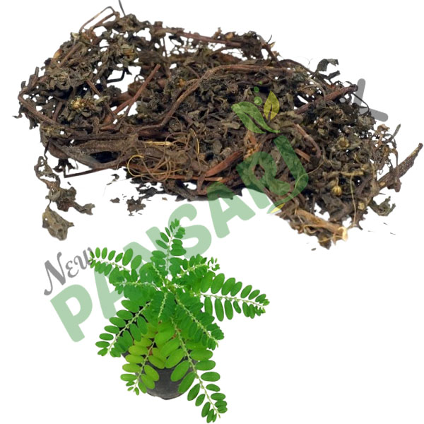 Bhumi Amla (PHYLLANTHUS NIRURI) 100% Pure - New Pansari